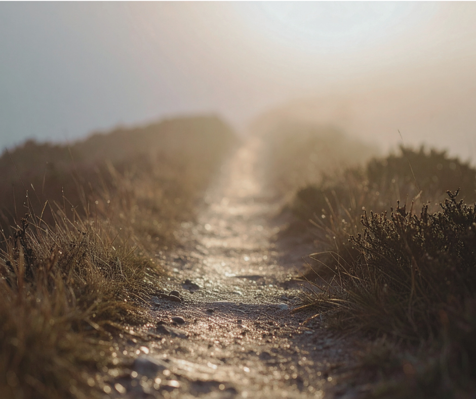 A soft, unfocused path through nature, reflecting the feeling of being on a journey but not yet able to let go